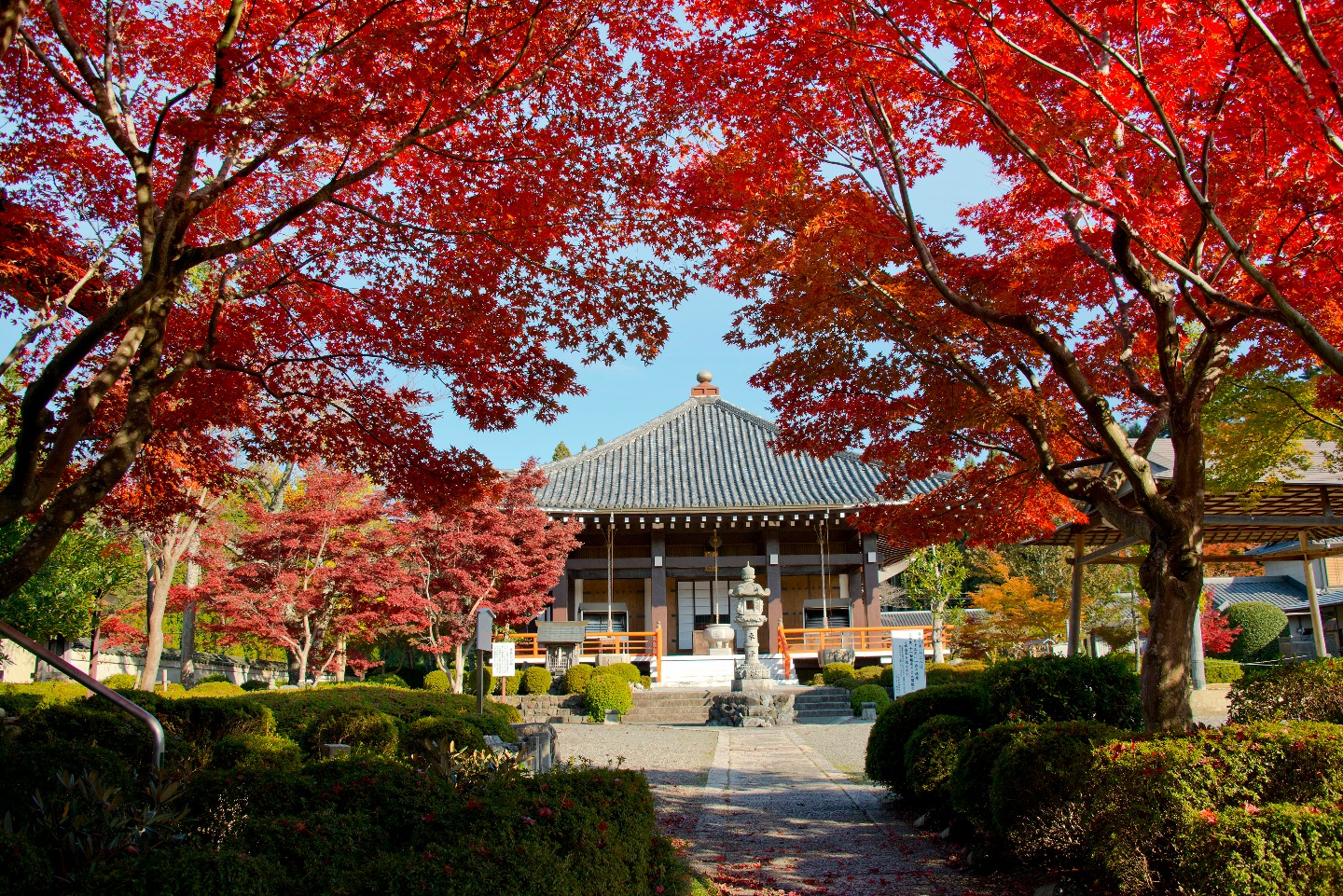 写真：櫟野寺の紅葉